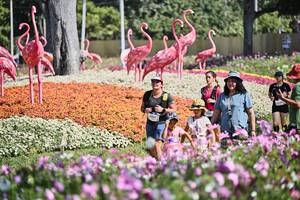 BIB: 
                            <button type="button" onclick="openModal(27794127)" class="btn btn-primary btn-sm float-right btn-popup" data-toggle="modal" data-target=".modal-high-quality">
                        <i class="fas fa-shopping-cart"></i> Add to Cart
                    </button>
                                            <button type="button" onclick="isThisMe(27794127, true)" class="btn btn-success btn-sm float-right btn-popup btn-isme hidden" data-toggle="tooltip" data-placement="bottom" title="นี่คือรูปของคุณใช่ไหม คลิกที่นี่เพื่อเอาเข้าอัลบั้ม">
                        <i class="fas fa-plus"></i> Add to album
                    </button>
                    <button type="button" onclick="isThisMe(27794127, false)" class="btn btn-warning btn-sm float-right btn-popup btn-isnotme hidden">
                        <i class="fas fa-ban"></i> Remove from album
                    </button>